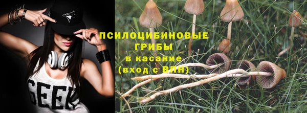 герыч Зеленодольск