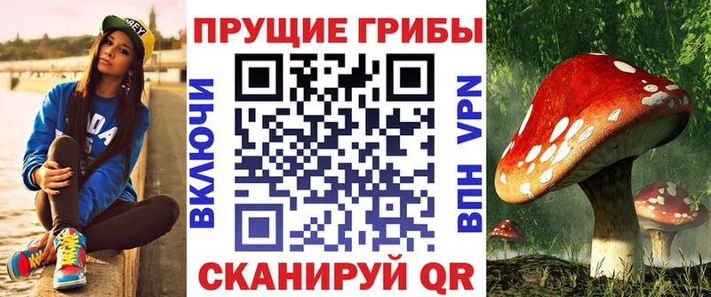 Купить закладки  Горячий Ключ  Псилоцибиновые грибы Magic Shrooms 